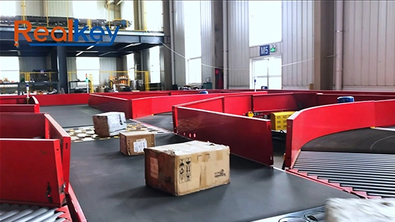 Real shot of the balance wheel sorting machine factory