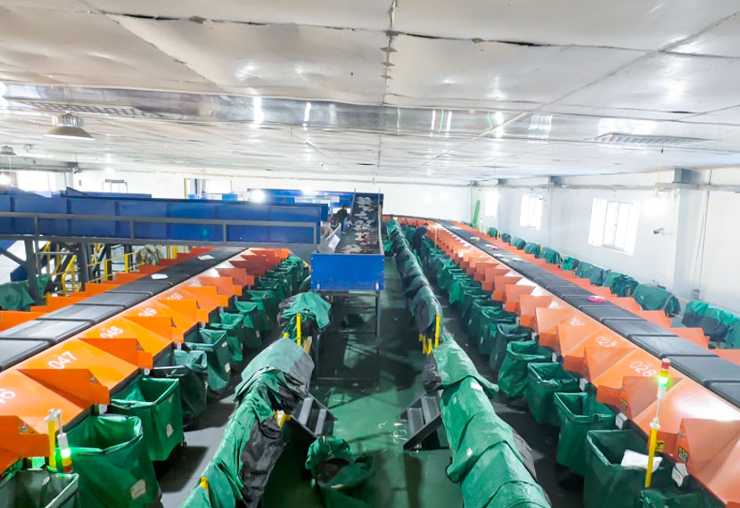Revolutionizing Logistics: The Power of Parcel Sorting Machines in Modern Supply Chains